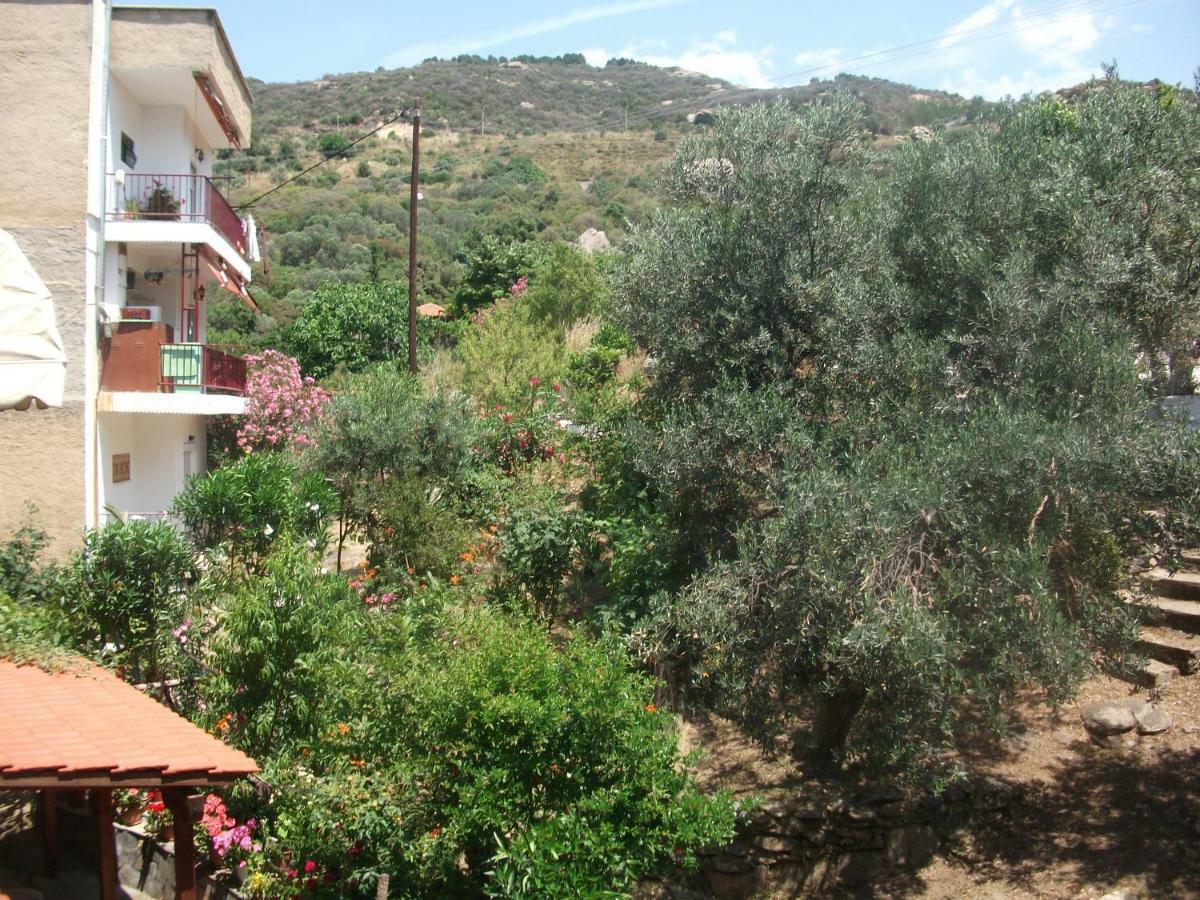 Apartamento Konstantina'S House PalaiónTsiflíkion Exterior foto